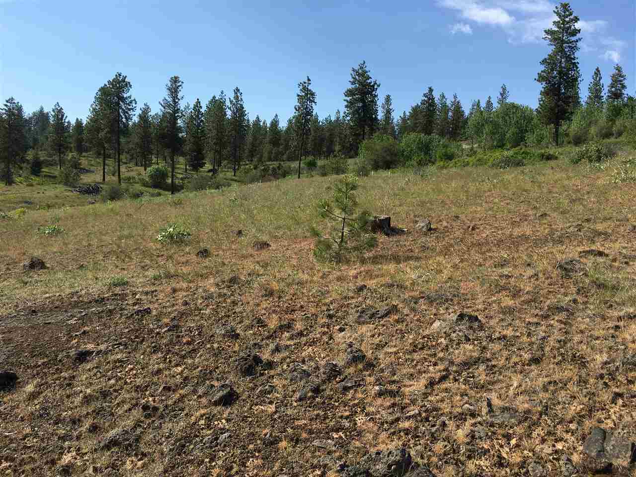 14000 West Tepee Road Spokane, WA 99224 - Photo 13 of 20