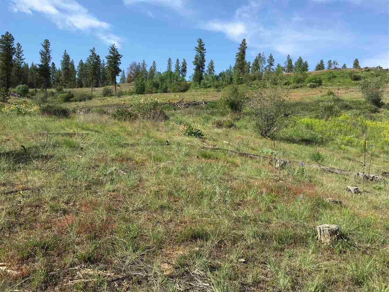 14000 West Tepee Road Spokane, WA 99224 - Photo 15 of 20