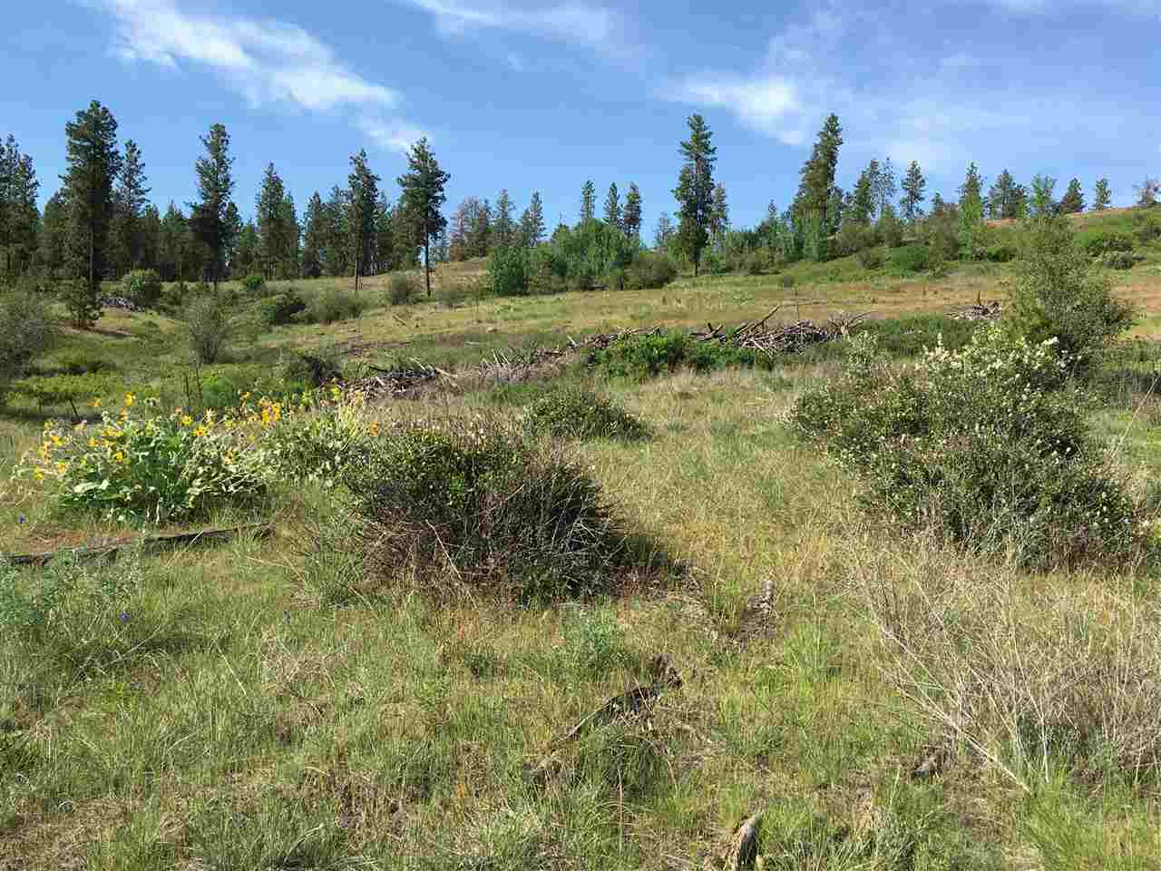 14000 West Tepee Road Spokane, WA 99224 - Photo 16 of 20
