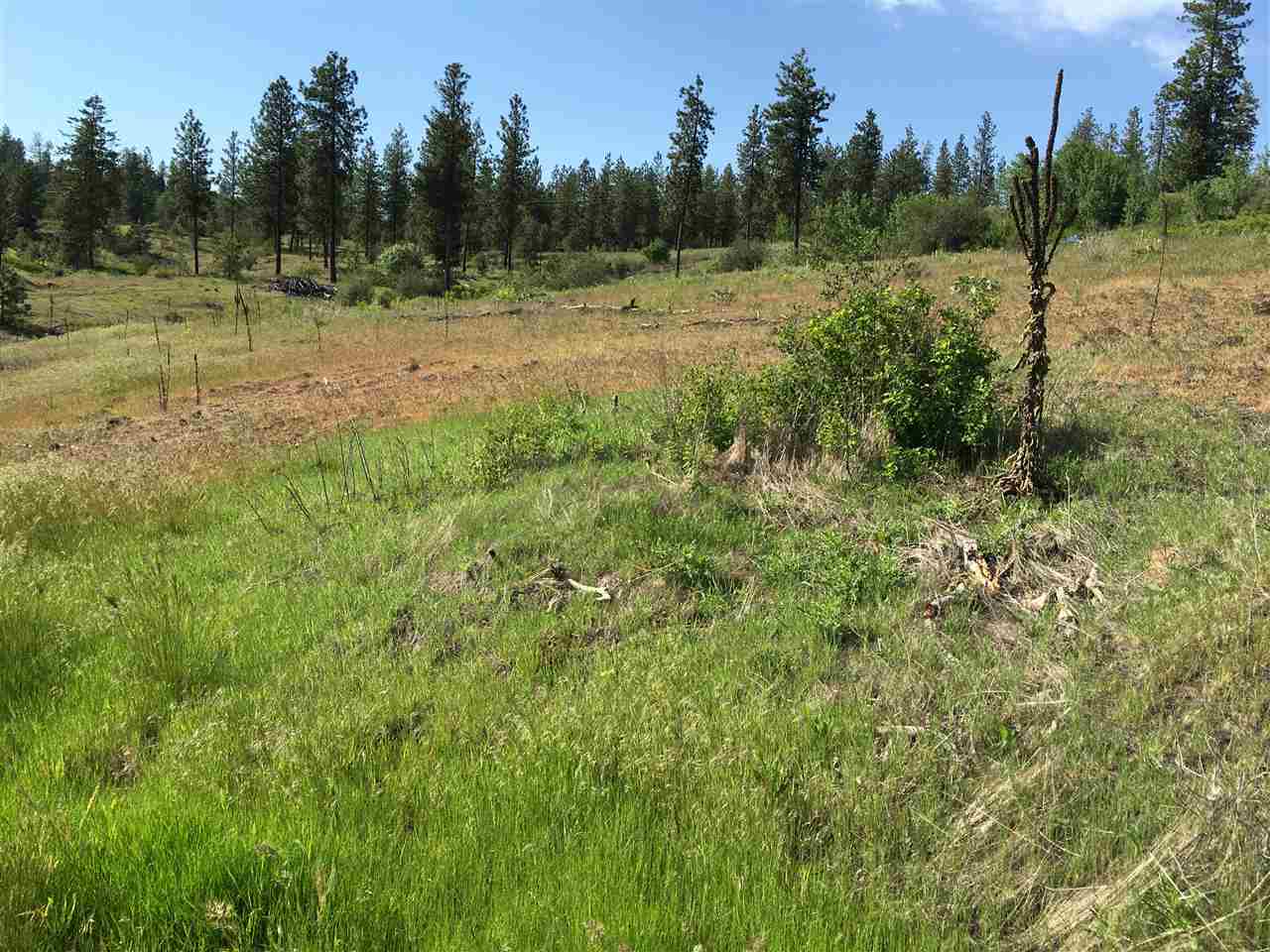 14000 West Tepee Road Spokane, WA 99224 - Photo 17 of 20