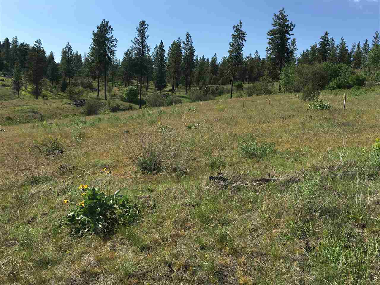 14000 West Tepee Road Spokane, WA 99224 - Photo 18 of 20