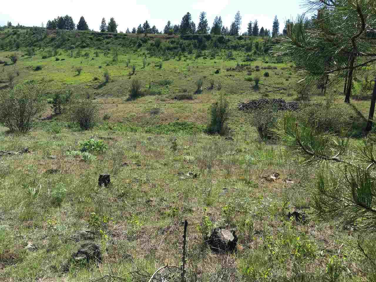 14000 West Tepee Road Spokane, WA 99224 - Photo 10 of 20