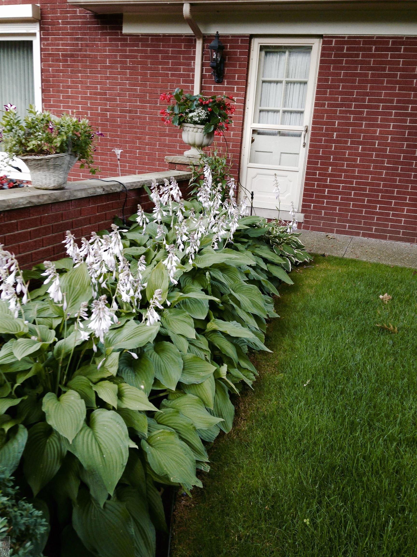 573 Shelden Road Grosse Pointe Shores, MI 48236 - Photo 39 of 40