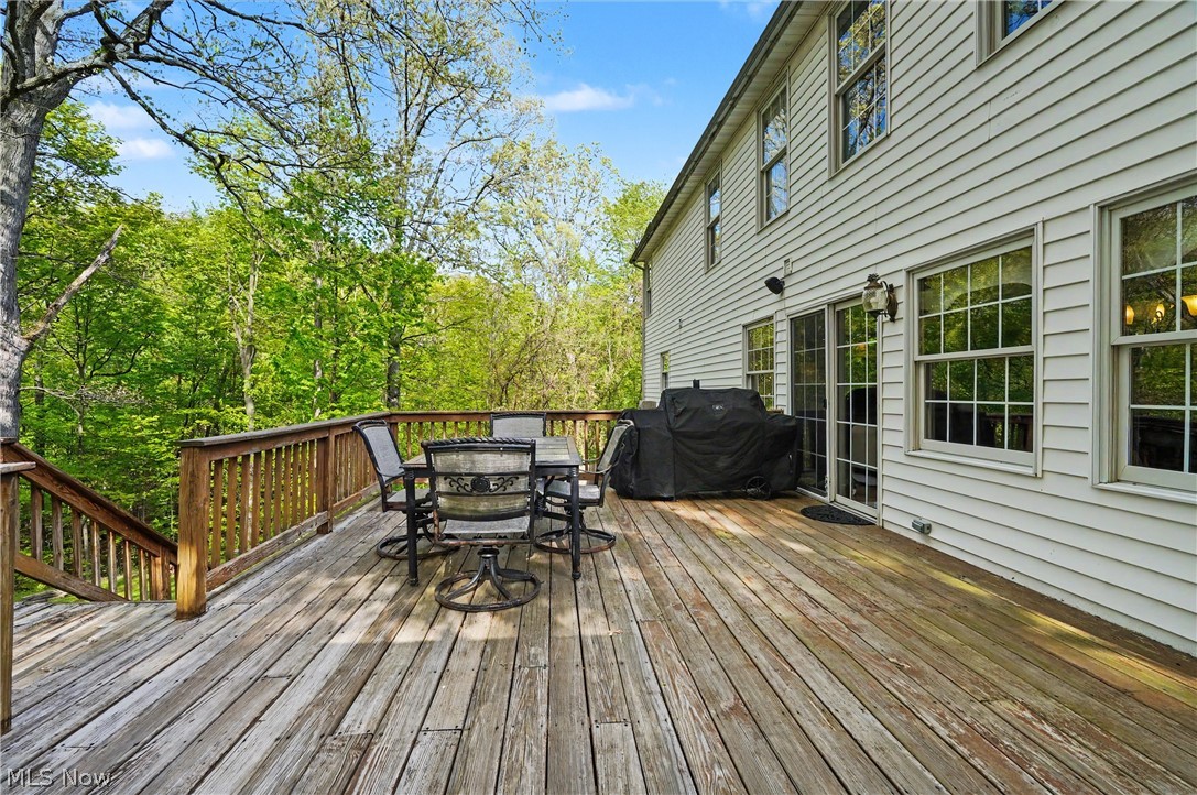 11003 Prouty Road Painesville, OH 44077 - Photo 48 of 50