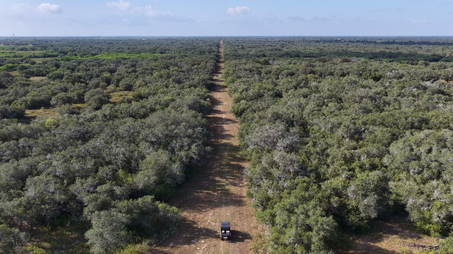 251 Old Goliad Road Refugio, TX 78377 - Photo 26 of 40 Dense woodlands stretch as far as the eye can see, bisected by a cleared trail.