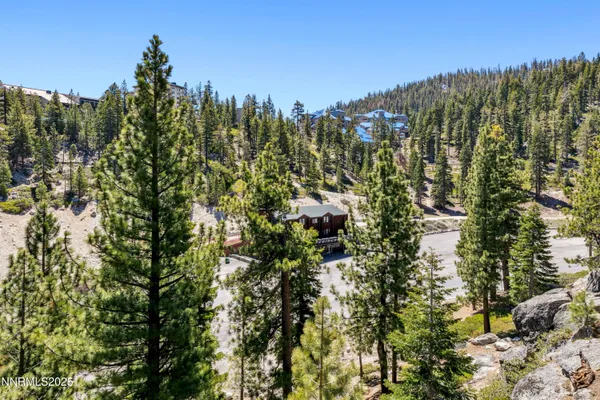 a view of a city with lush green forest