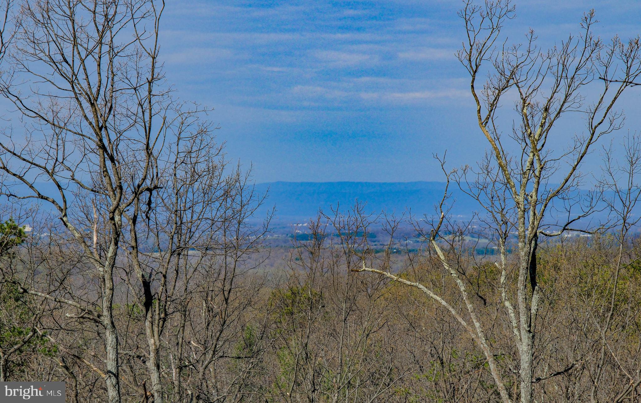 295 Markham Farm Road Front Royal, VA 22630 - Photo 5 of 78 Year-round views!