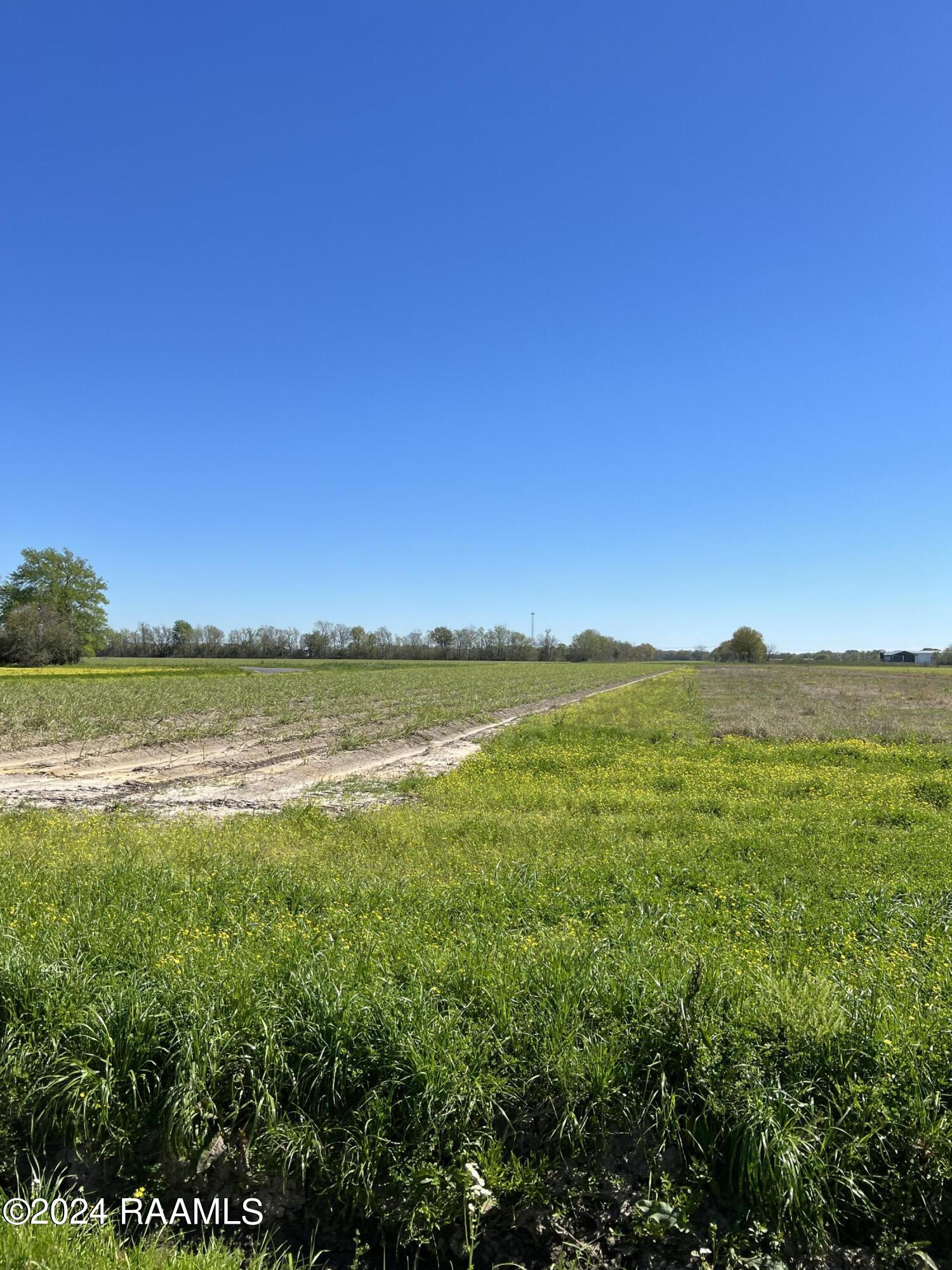 Tbd North Riceland Road Rayne, LA 70578 - Photo 1 of 5 IMG_8708