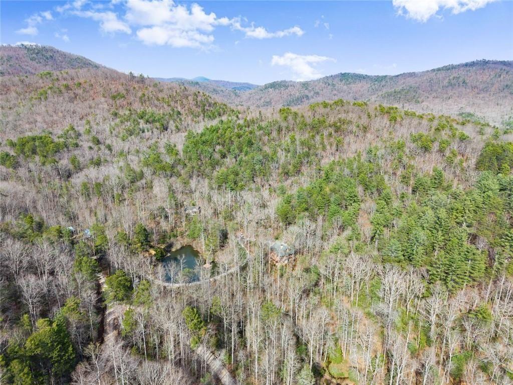 962 Watkins Field Road Clayton, GA 30525 - Photo 66 of 75