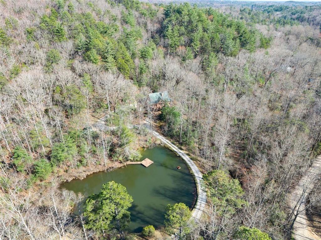 962 Watkins Field Road Clayton, GA 30525 - Photo 70 of 75