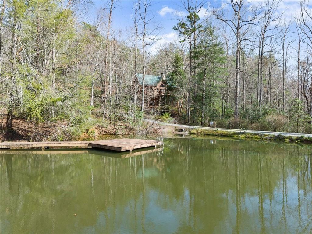 962 Watkins Field Road Clayton, GA 30525 - Photo 71 of 75
