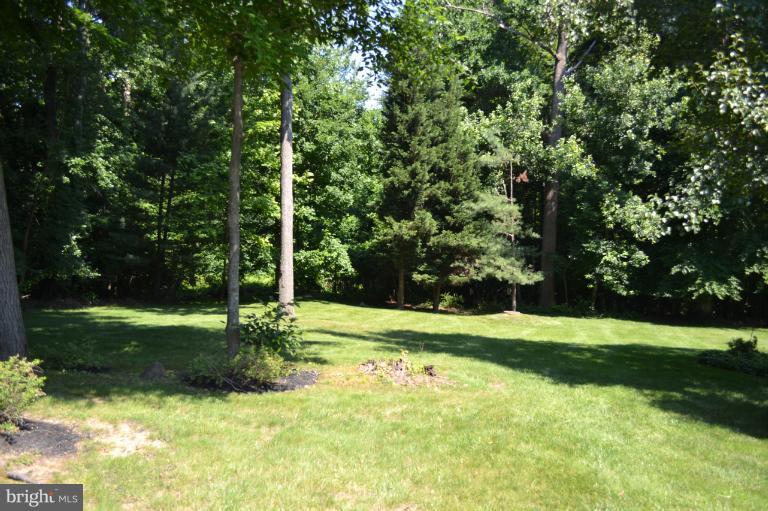 8534 Autumn Rust Road Ellicott City, MD 21043 - Photo 22 of 27 Exterior (Rear)