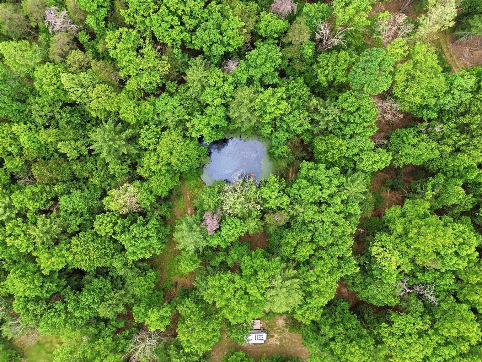 14636 Turner Run Road Fulks Run, VA 22830 - Photo 68 of 75