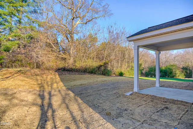 a view of backyard with green space
