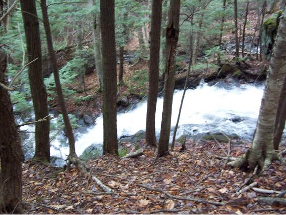 1 Dick Brown Road Bristol, NH 03222 - Photo 1 of 1 Gallery Image 1