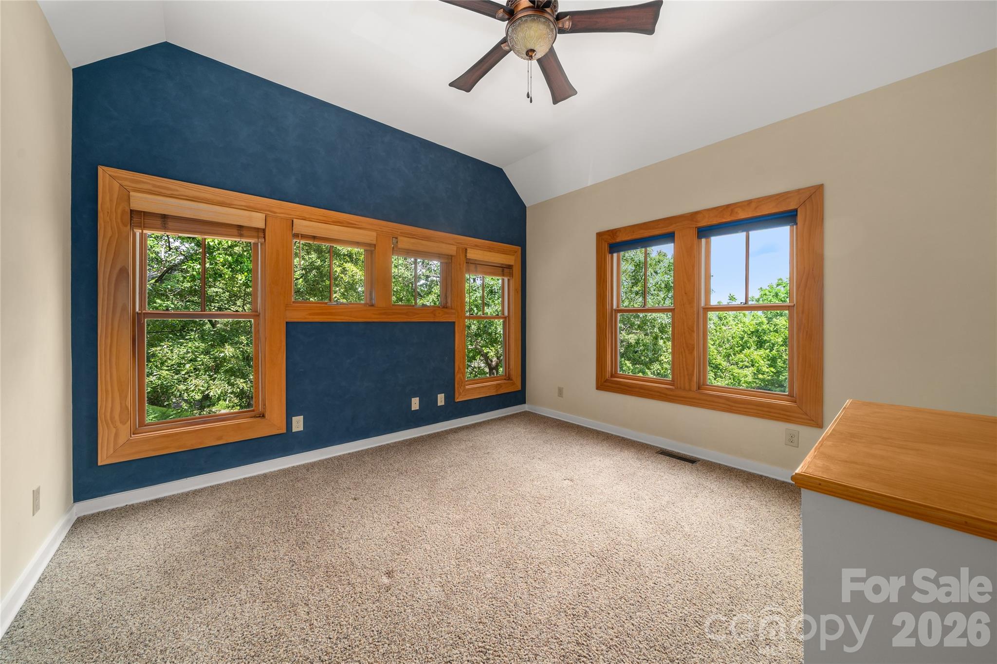 32 Delano Road Asheville, NC 28805 - Photo 25 of 47