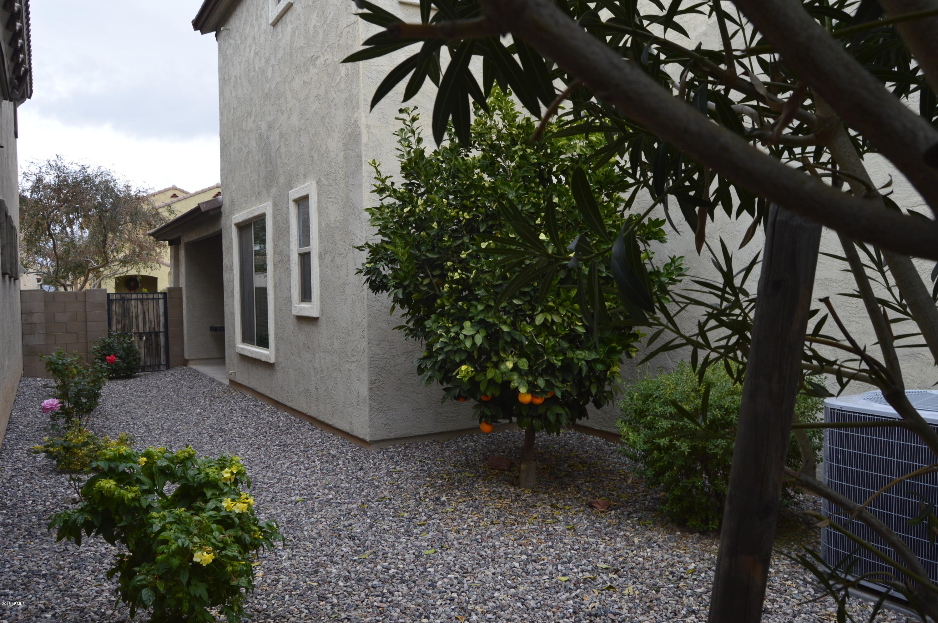 3471 East Sheffield Road Gilbert, AZ 85296 - Photo 5 of 29 _DSC0010