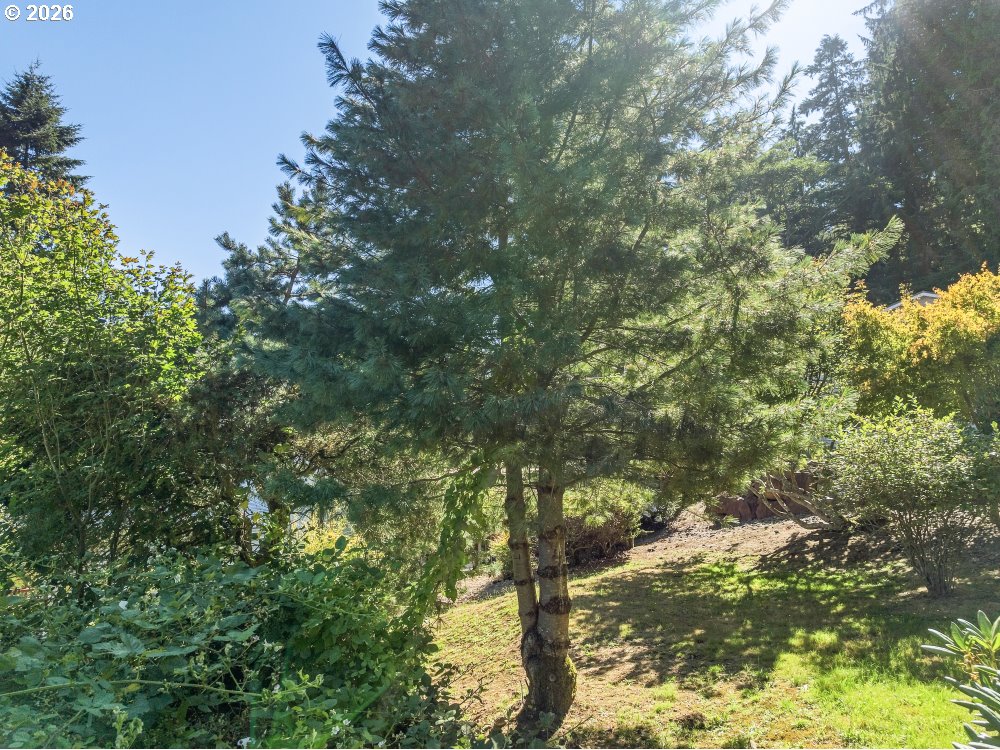 305 9th Street Garibaldi, OR 97118 - Photo 16 of 48 Gallery Image 16