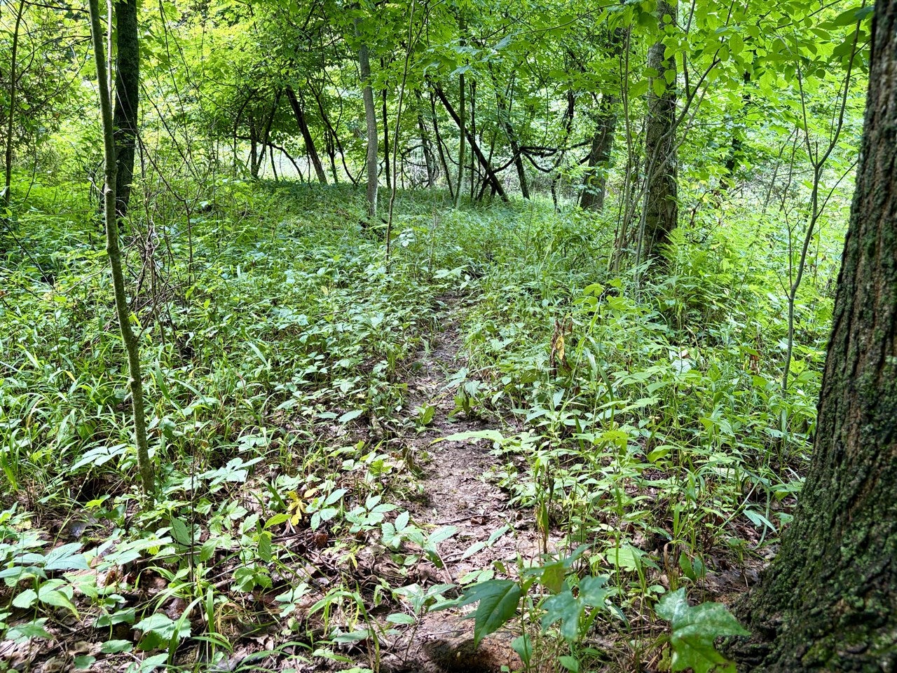 V/l Banfield Road Delton, MI 49046 - Photo 50 of 61 Gallery Image 50