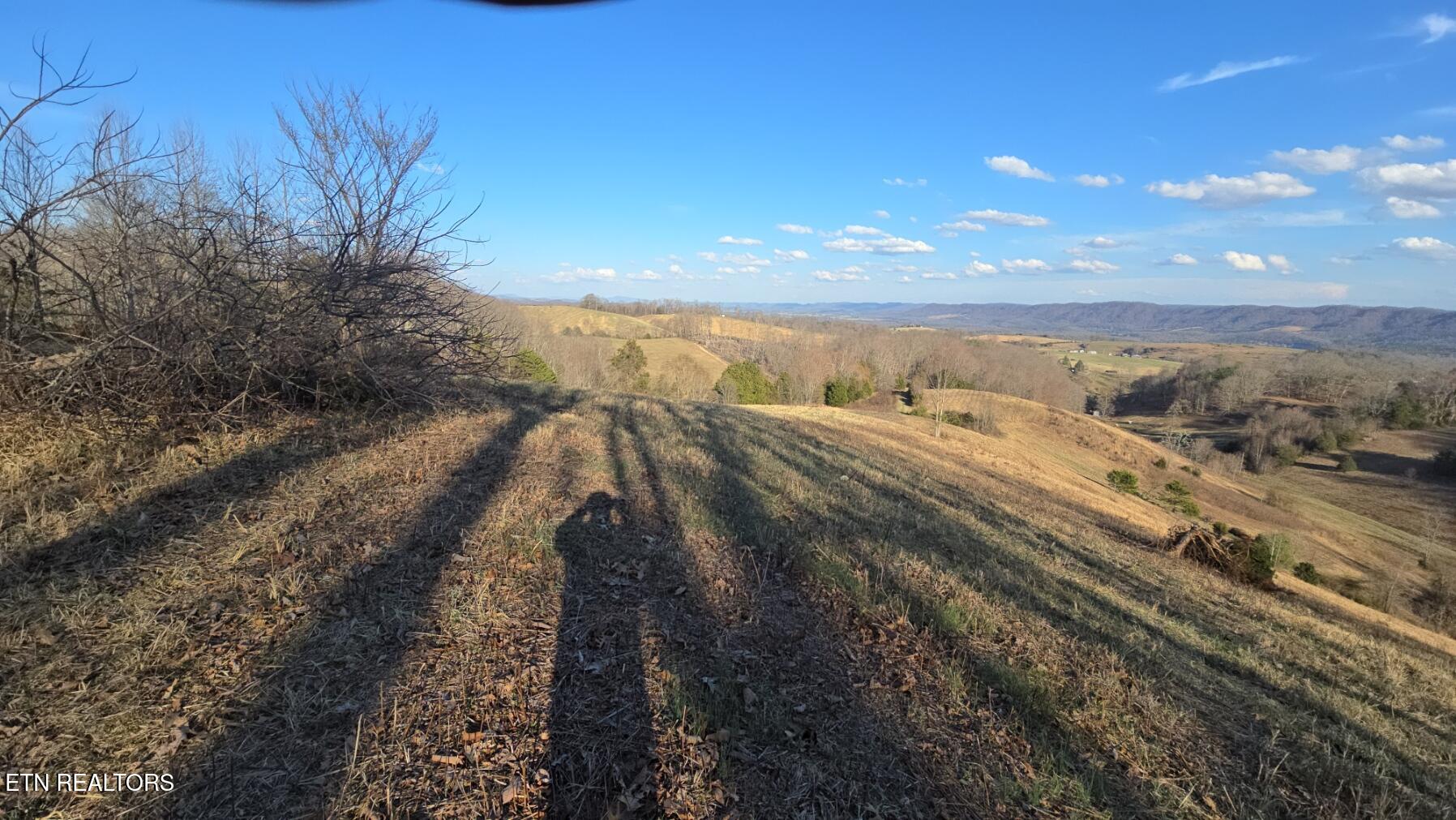 1874 Blue Hollow Road Rose Hill, VA 24281 - Photo 11 of 19 20260306_165321