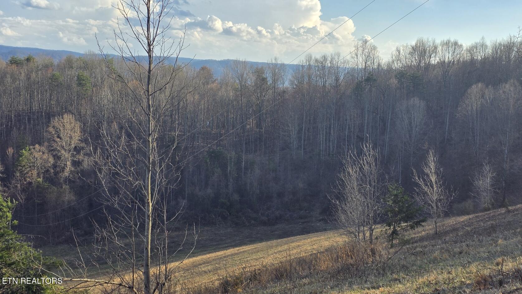1874 Blue Hollow Road Rose Hill, VA 24281 - Photo 12 of 19 20260306_165400