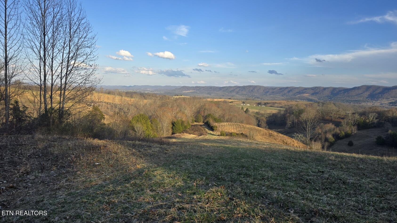 1874 Blue Hollow Road Rose Hill, VA 24281 - Photo 13 of 19 Home site