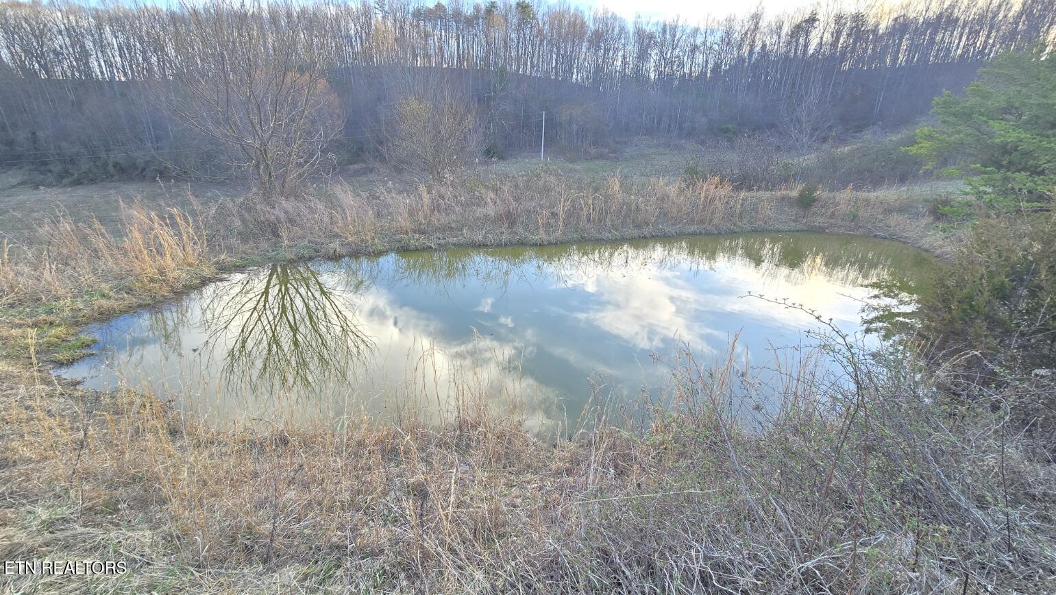1874 Blue Hollow Road Rose Hill, VA 24281 - Photo 14 of 19 Pond 2