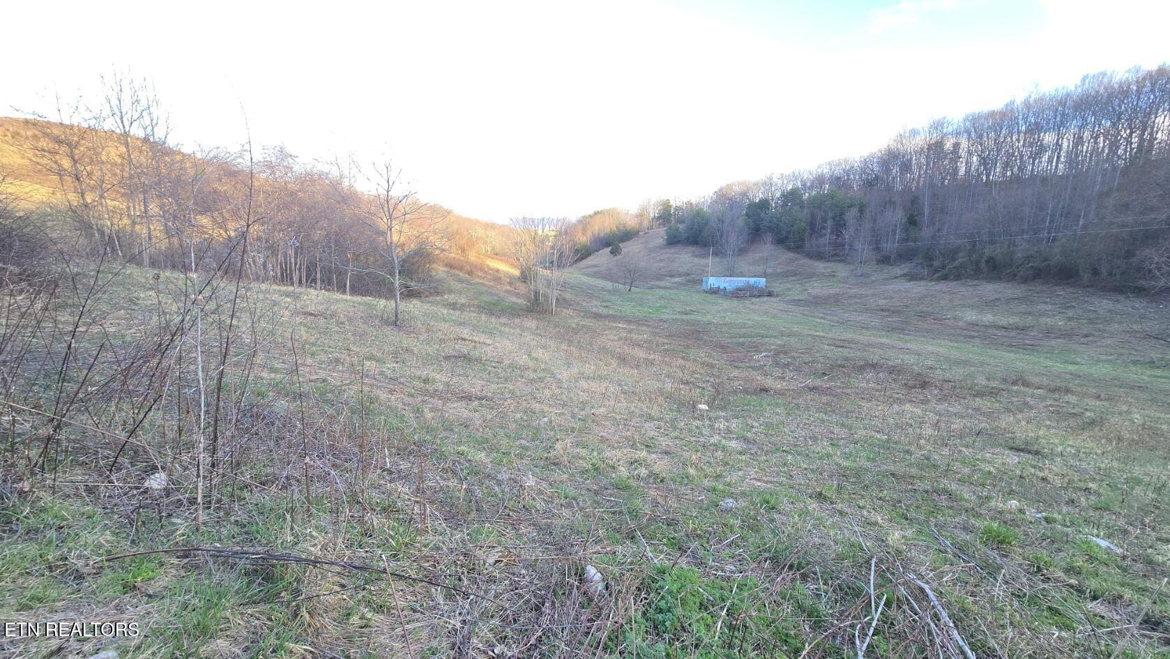 1874 Blue Hollow Road Rose Hill, VA 24281 - Photo 15 of 19 Meadow view and Pond 1