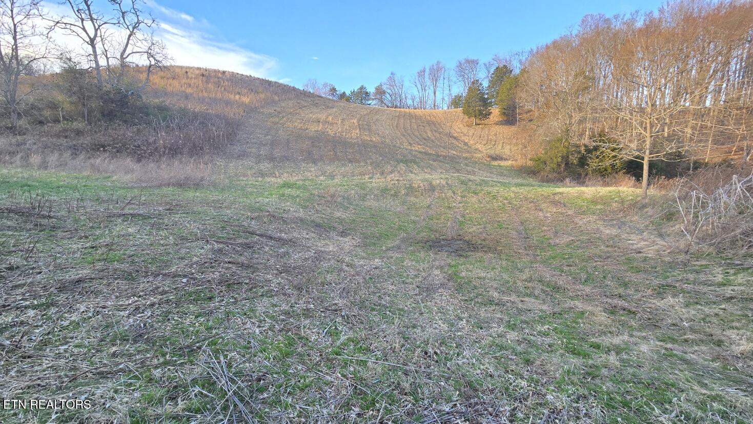 1874 Blue Hollow Road Rose Hill, VA 24281 - Photo 17 of 19 Pond 3