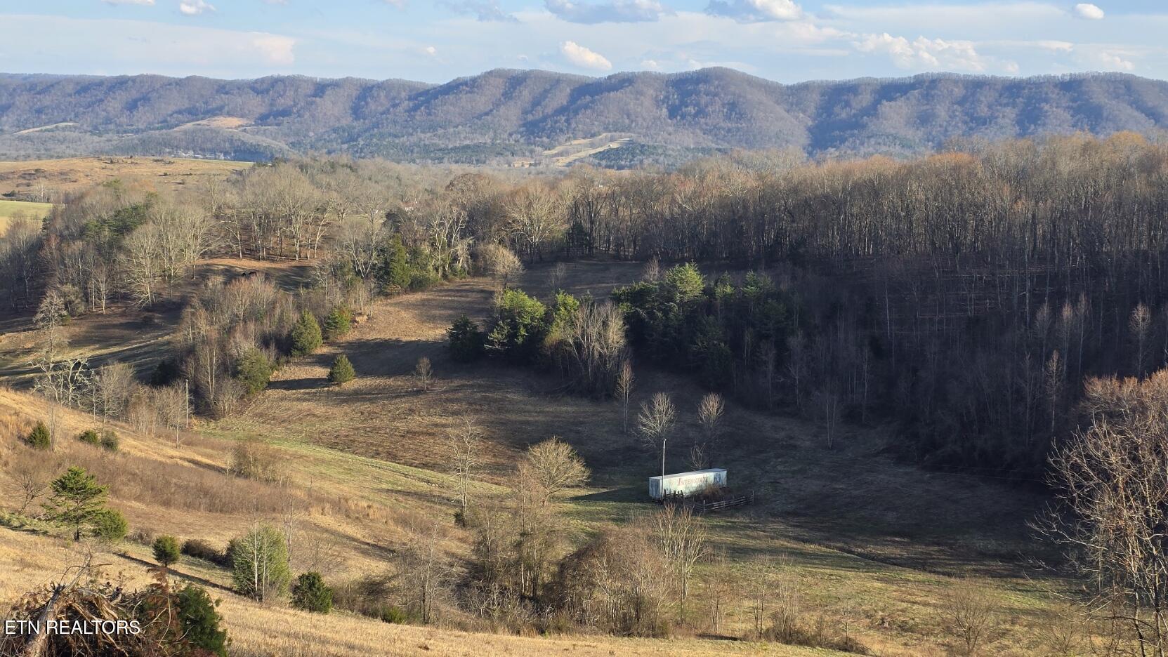 1874 Blue Hollow Road Rose Hill, VA 24281 - Photo 2 of 19 Home site view