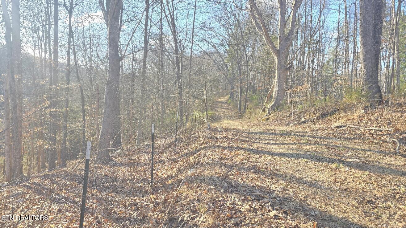 1874 Blue Hollow Road Rose Hill, VA 24281 - Photo 4 of 19 Road 1