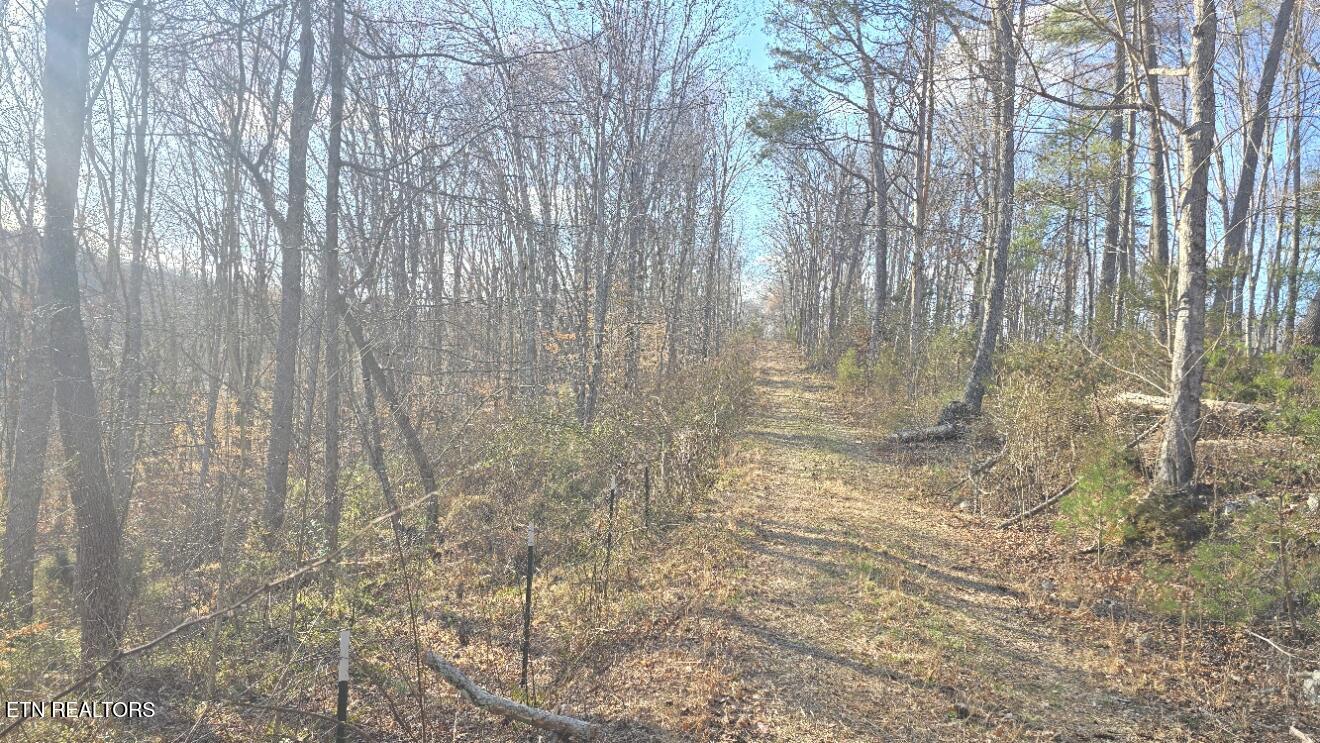 1874 Blue Hollow Road Rose Hill, VA 24281 - Photo 5 of 19 Road 2