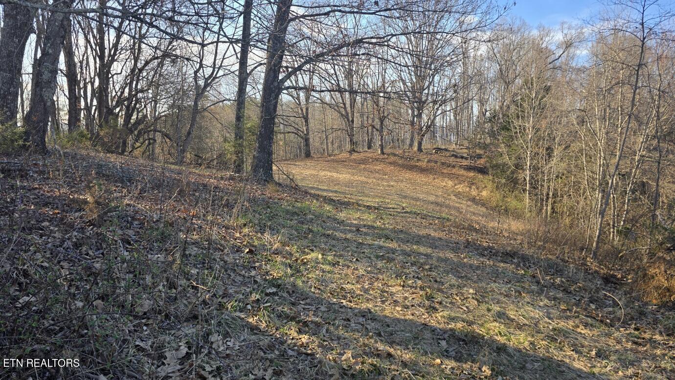 1874 Blue Hollow Road Rose Hill, VA 24281 - Photo 6 of 19 Road 3