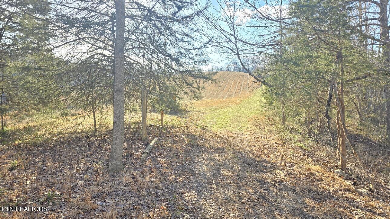 1874 Blue Hollow Road Rose Hill, VA 24281 - Photo 7 of 19 Road 4