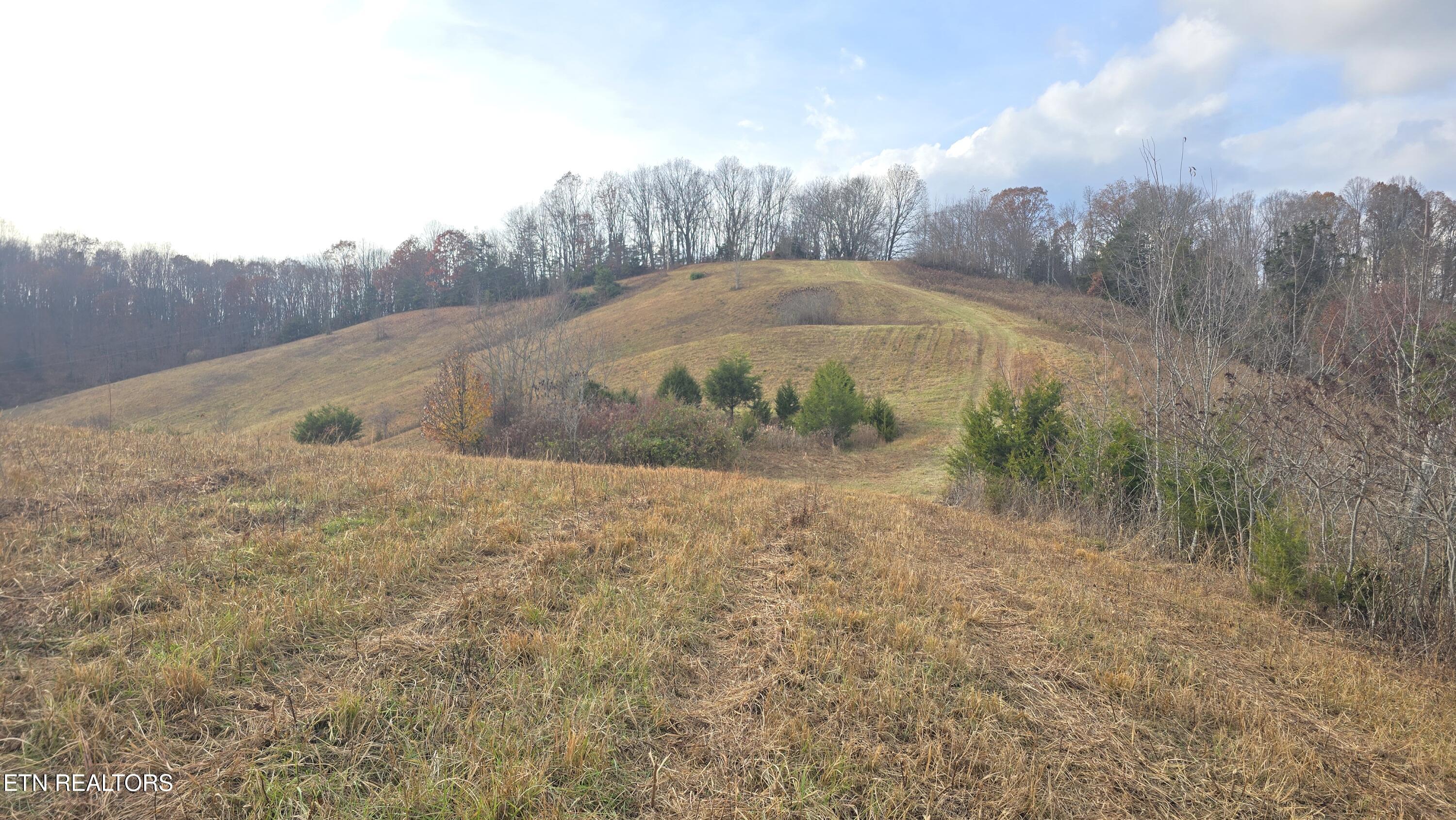 1874 Blue Hollow Road Rose Hill, VA 24281 - Photo 8 of 19 Home site, well, septic