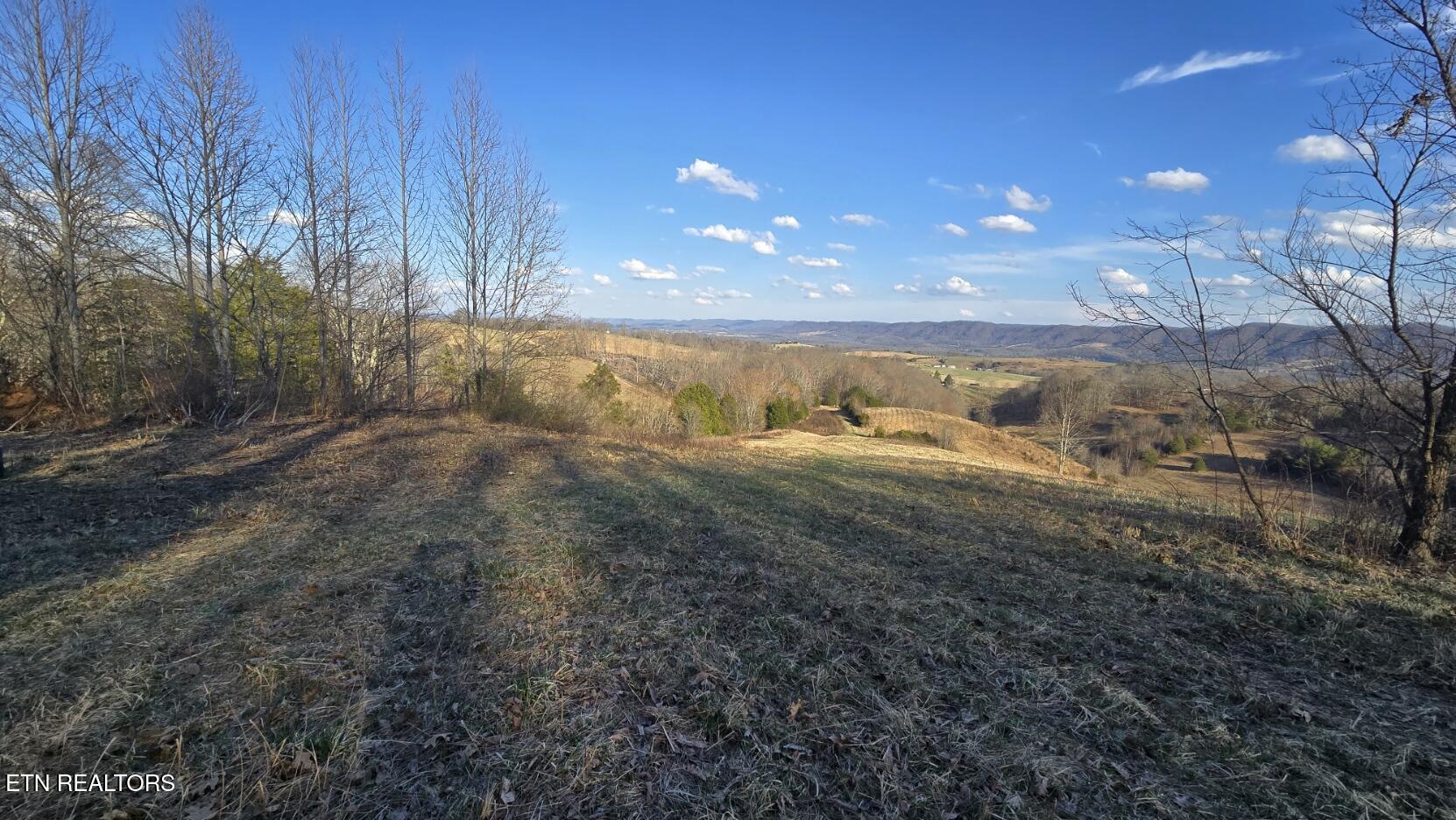 1874 Blue Hollow Road Rose Hill, VA 24281 - Photo 9 of 19 20260306_164647