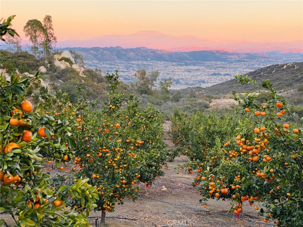0 Stone Pointe Murrieta Ca  