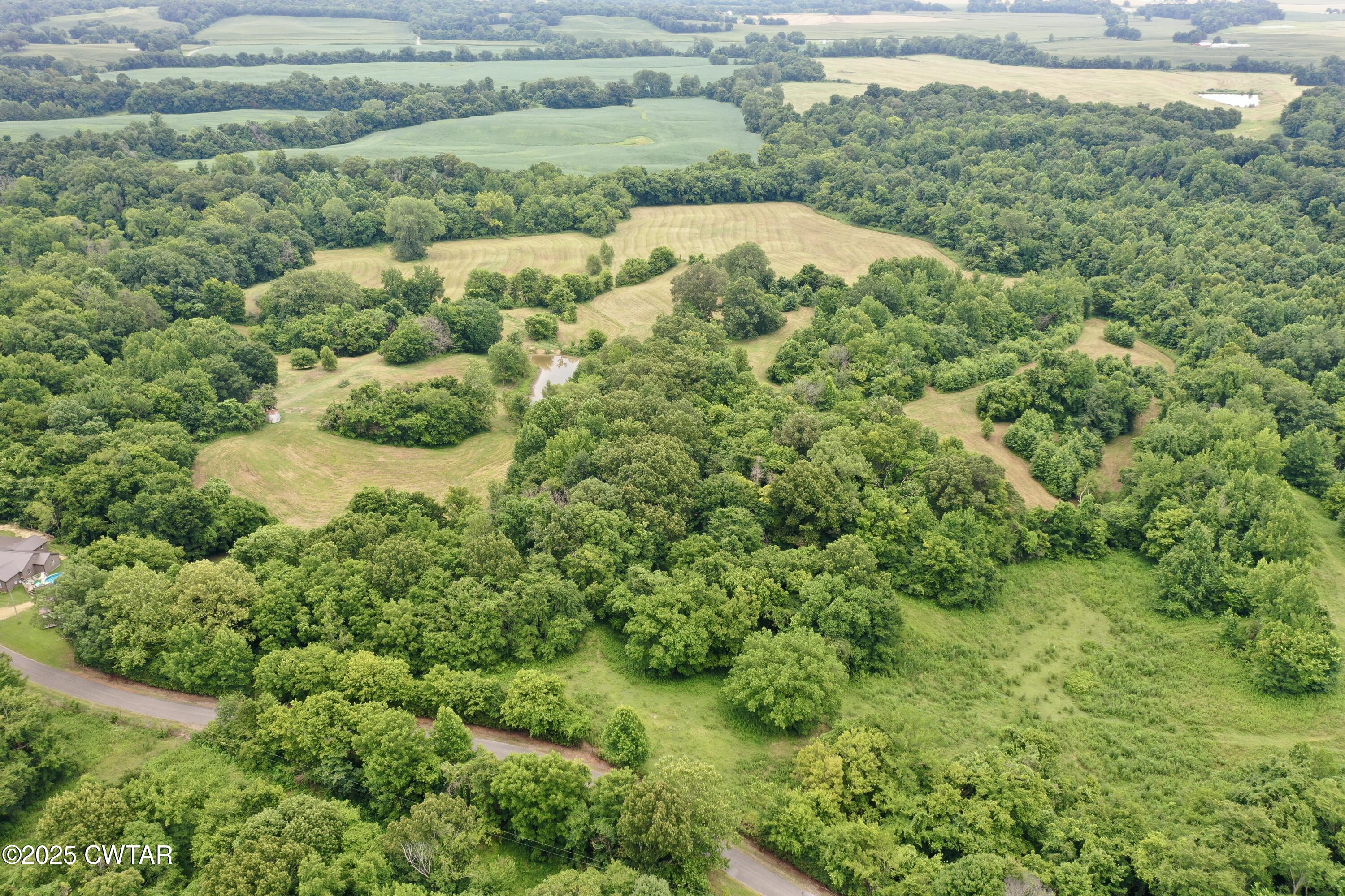 0 Bud O Yates Road Obion, TN 38240 - Photo 3 of 9 ABA2C4398A0597025D099D3BED21929D 2