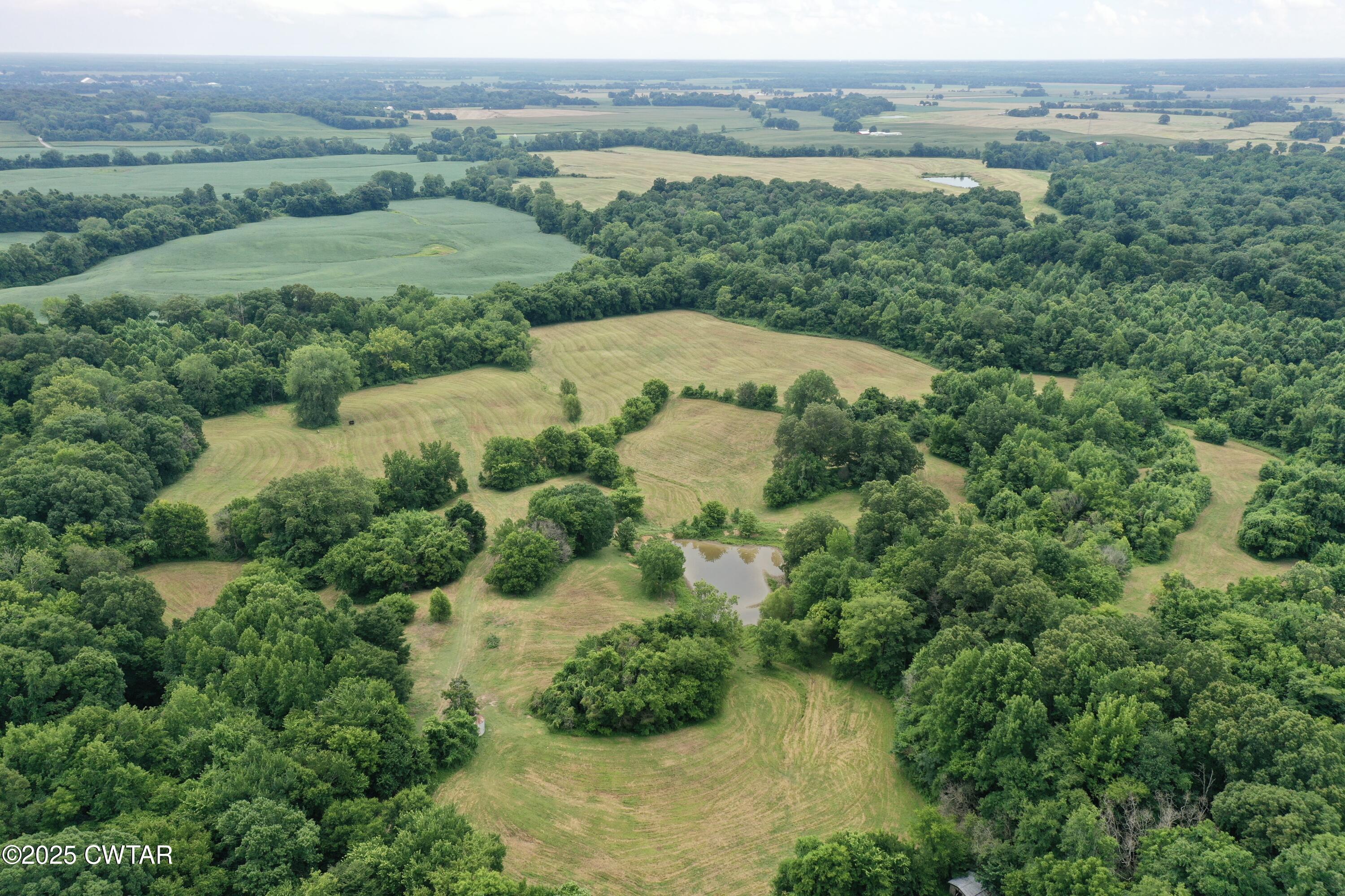 0 Bud O Yates Road Obion, TN 38240 - Photo 6 of 9 7D4359D3C734F399CE603D87378657E9 2