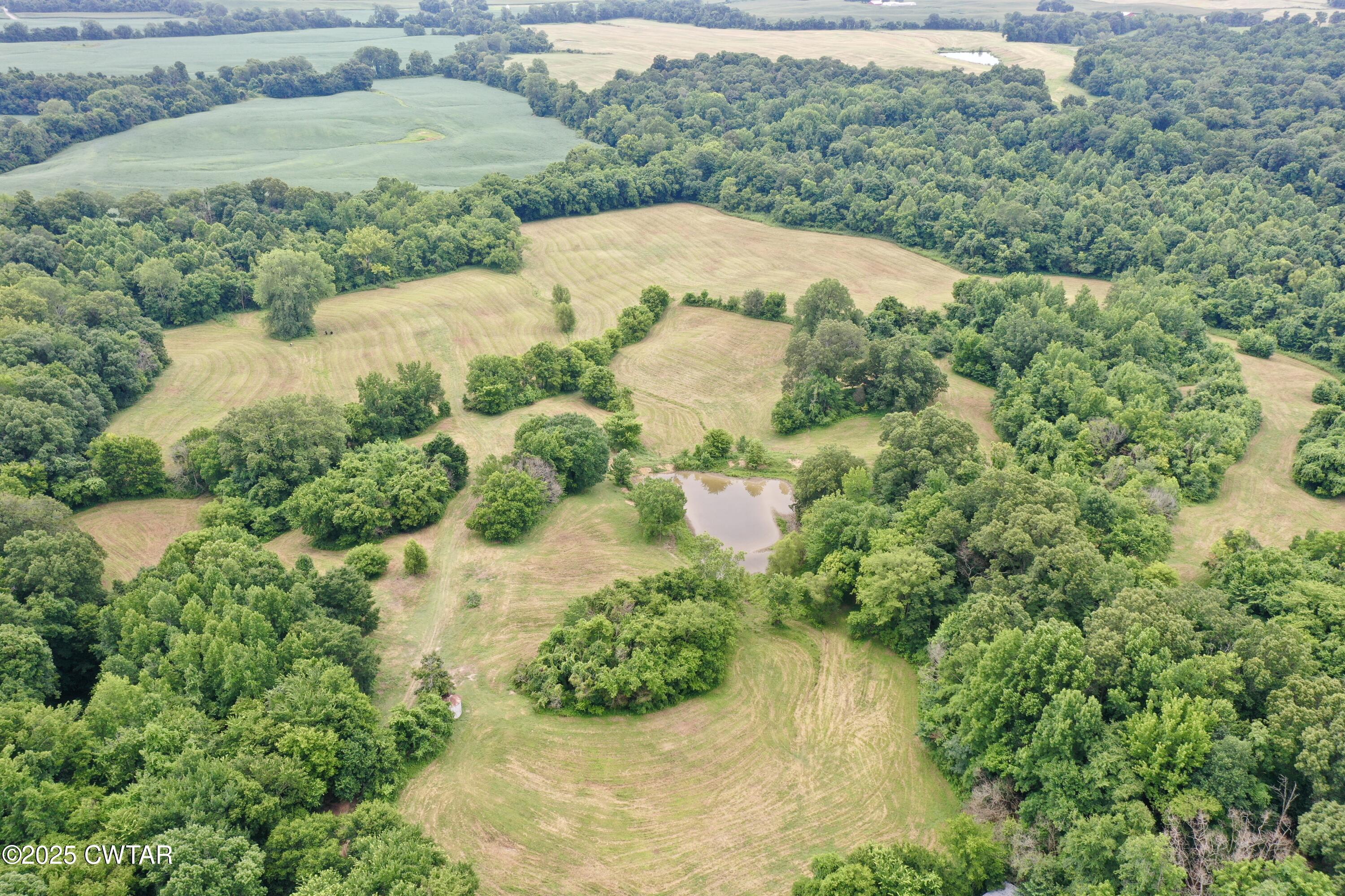 0 Bud O Yates Road Obion, TN 38240 - Photo 7 of 9 8807DD04C9577546B922A46B5D0A7BCC 2