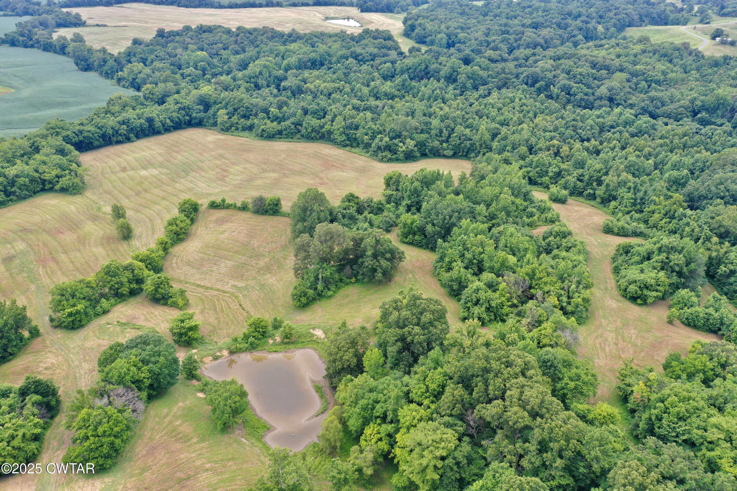 0 Bud O Yates Road Obion, TN 38240 - Photo 8 of 9 EA7CA9DB138A0D32C387304631CBD6CD 2