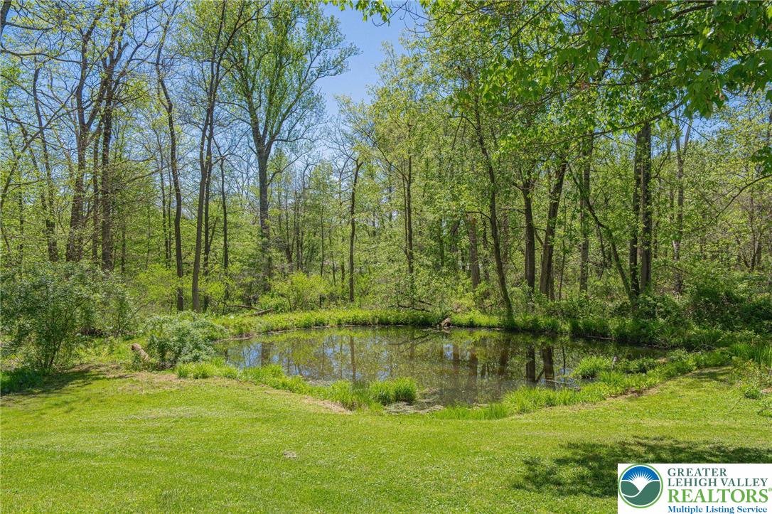 3857 Friedens Road Slatington, PA 18080 - Photo 12 of 75