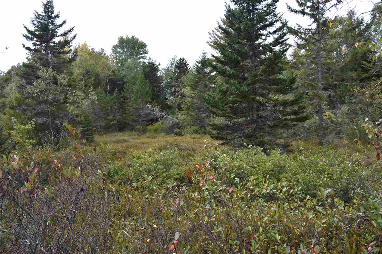 80 Wheeler Road Calais, VT 05648 - Photo 29 of 40