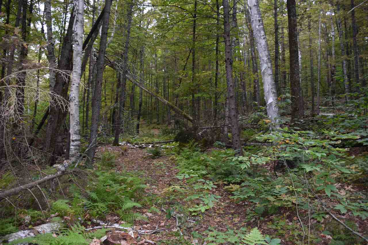 80 Wheeler Road Calais, VT 05648 - Photo 39 of 40