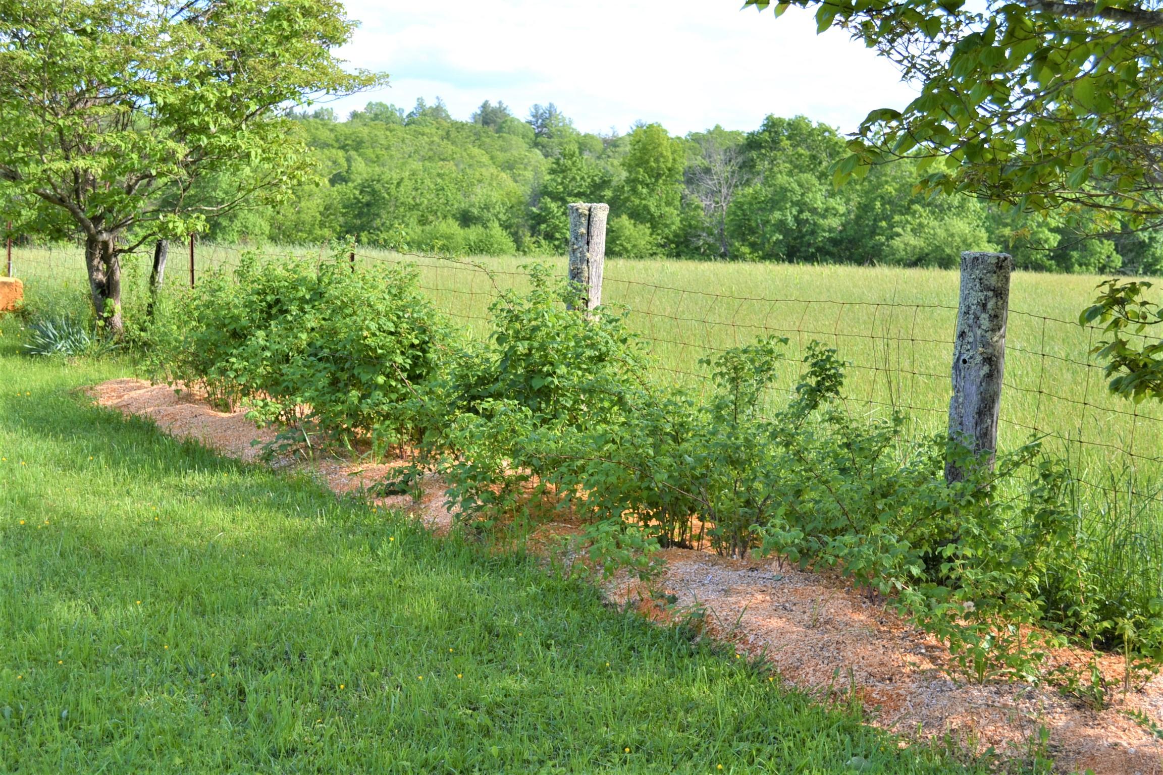 1640 Julia Road Renick, WV 24966 - Photo 16 of 77 Gallery Image 16