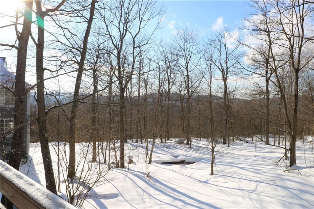 2108 South Ridge Terrace Hidden Valley, PA 15502 - Photo 15 of 22 Gallery Image 15