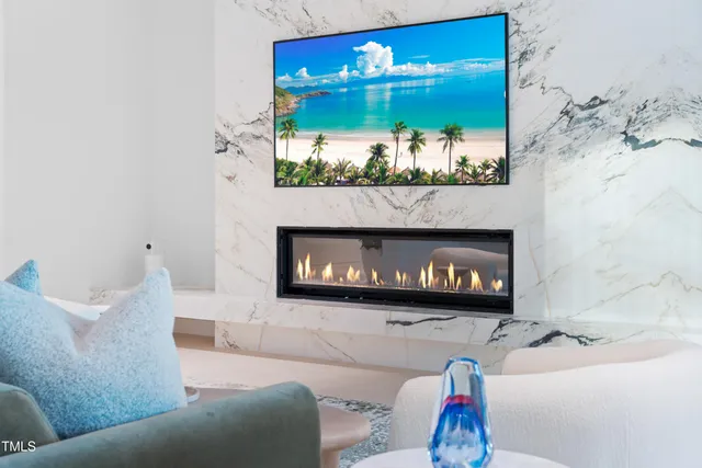 a living room with furniture a fireplace and wall paintings