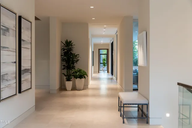a view of a room with a potted plant and hallway