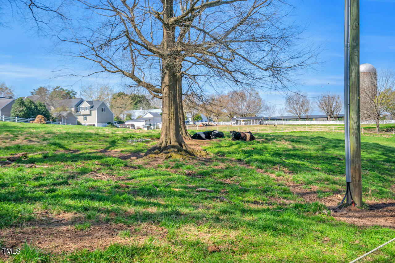 289 Stoneview Pittsboro, NC 27312 - Photo 56 of 57 70-FearringtonVillg-08984