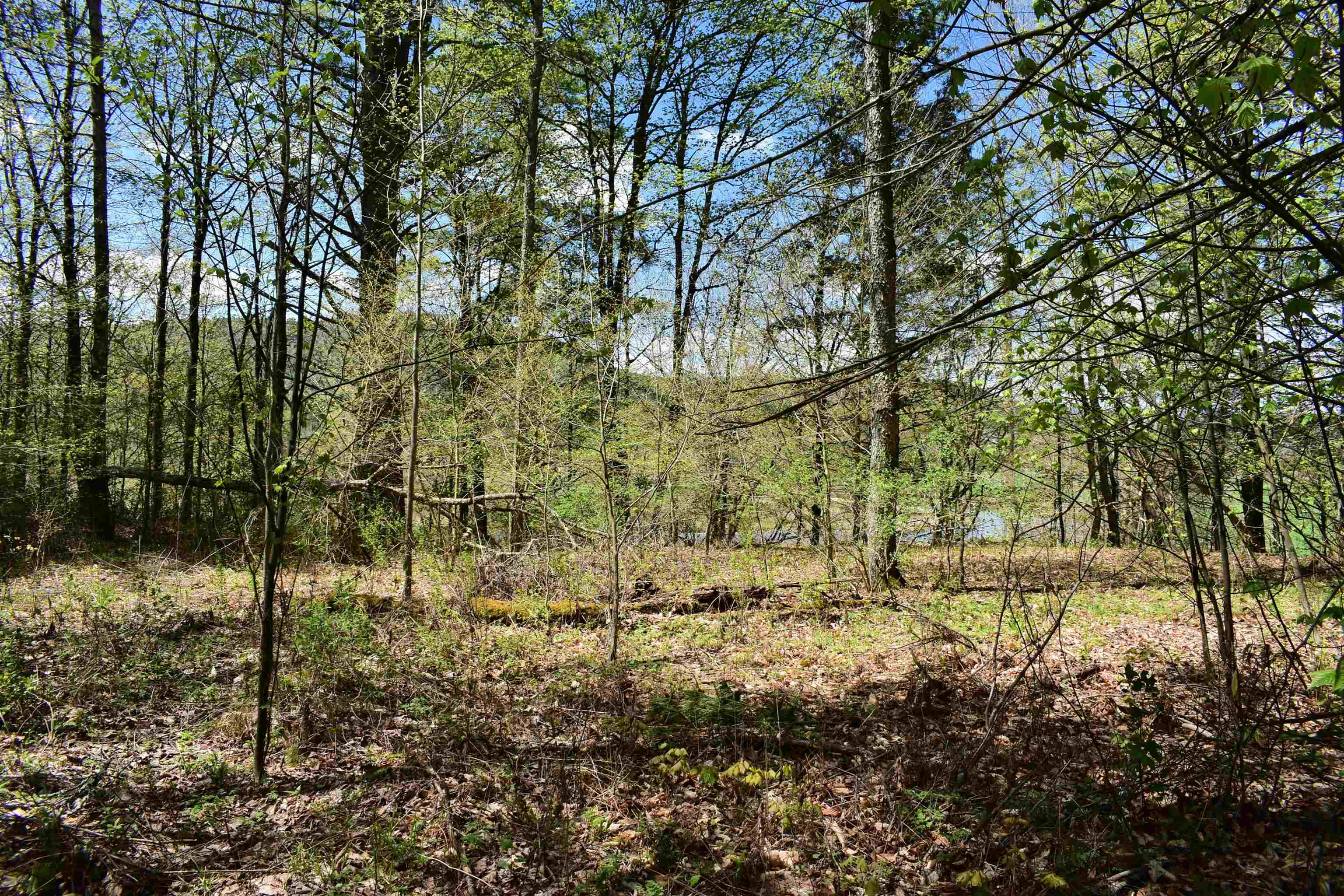 1850 Stock Farm Road, Unit 68 Randolph, VT 05060 - Photo 15 of 25